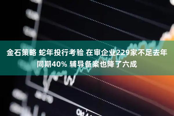 金石策略 蛇年投行考验 在审企业229家不足去年同期40% 辅导备案也降了六成