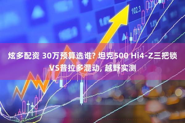 炫多配资 30万预算选谁? 坦克500 Hi4-Z三把锁VS普拉多混动, 越野实测