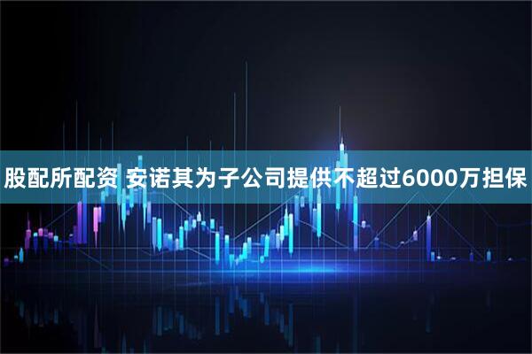 股配所配资 安诺其为子公司提供不超过6000万担保
