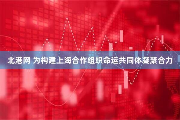 北港网 为构建上海合作组织命运共同体凝聚合力