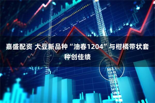 嘉盛配资 大豆新品种“油春1204”与柑橘带状套种创佳绩