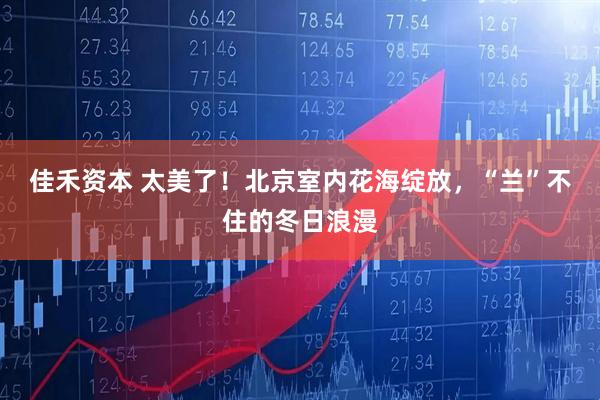 佳禾资本 太美了！北京室内花海绽放，“兰”不住的冬日浪漫